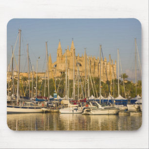 Katedral och marina, Palma, Mallorca, Spanien 2 Musmatta