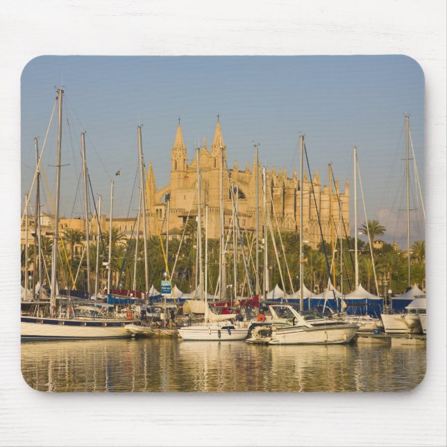 Katedral och marina, Palma, Mallorca, Spanien 2 Musmatta (Framsidan)