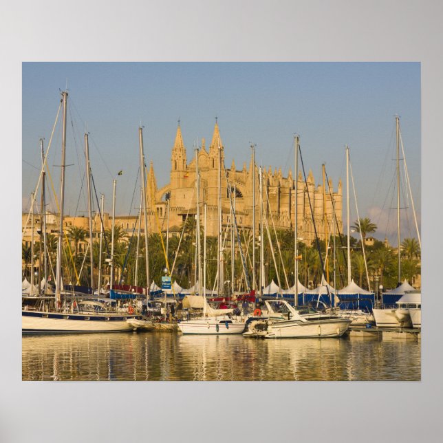 Katedral och marina, Palma, Mallorca, Spanien 2 Poster (Framsidan)