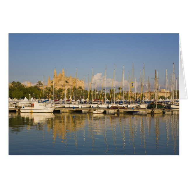 Katedral och marina, Palma, Mallorca, Spanien Hälsningskort (Framsidan Horizontal)