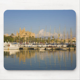 Katedral och marina, Palma, Mallorca, Spanien Musmatta