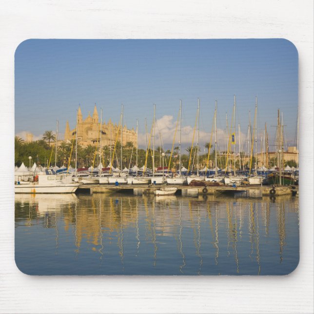 Katedral och marina, Palma, Mallorca, Spanien Musmatta (Framsidan)