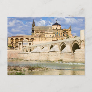 Katedral och romerska bryggan i Cordoba Vykort