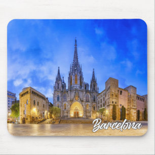 Katedralen i Barcelona, Spanien Musmatta