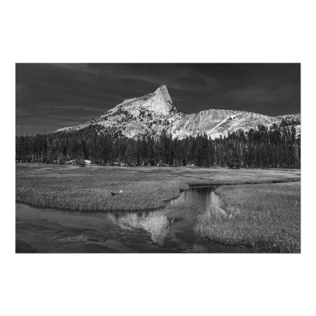 Katedralepaus i nationalparken Yosemite Fototryck (Framsidan)