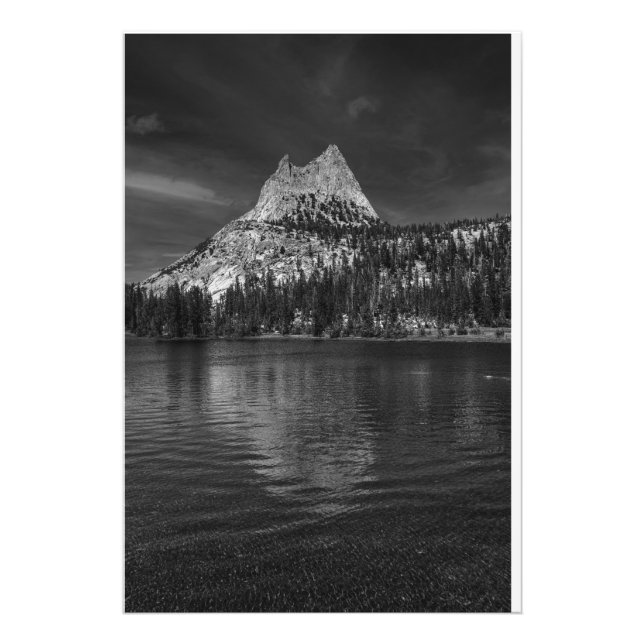 Katedralepaus i nationalparken Yosemite Fototryck (Framsidan)