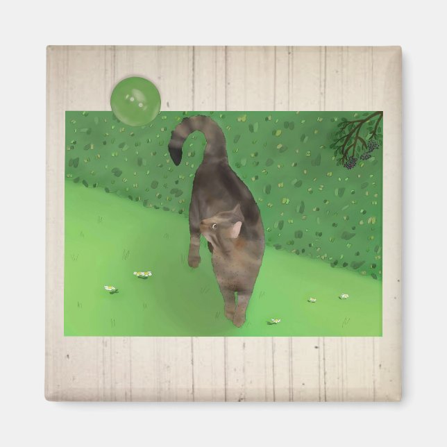 Kater Tom Magnet (Framsidan)