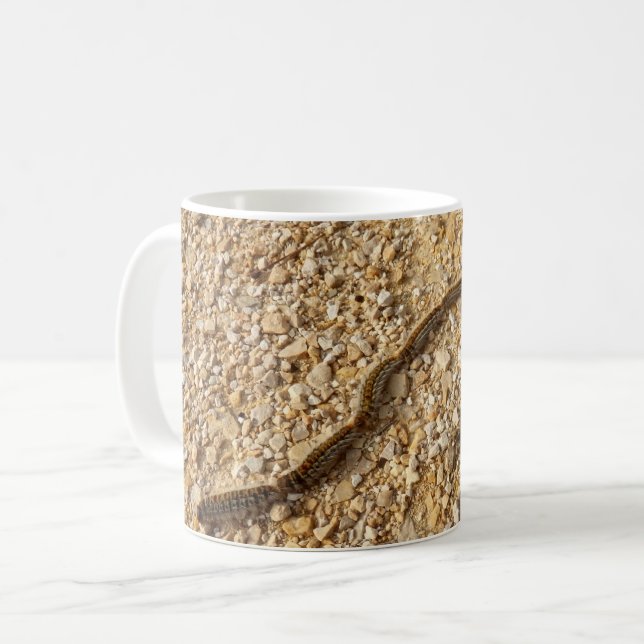 Katerpelare i Kryp Mugg (Framsida vänster)