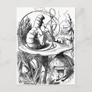 Katerpelare Rökning ett Hookah Alice i Wonderland Vykort