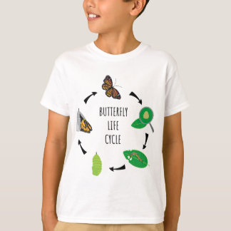 Katerpelaren Butterfly Life Cycle Biology Science T Shirt