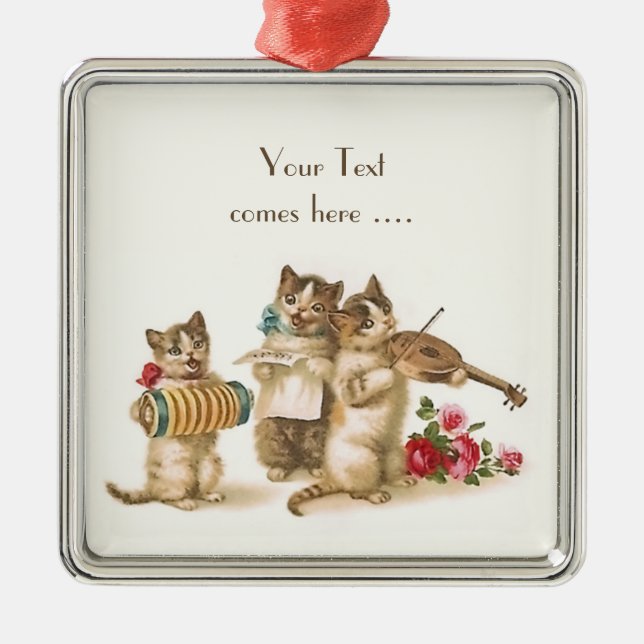 Katervattenavskiljande premiumruta för ornament (Framsidan)