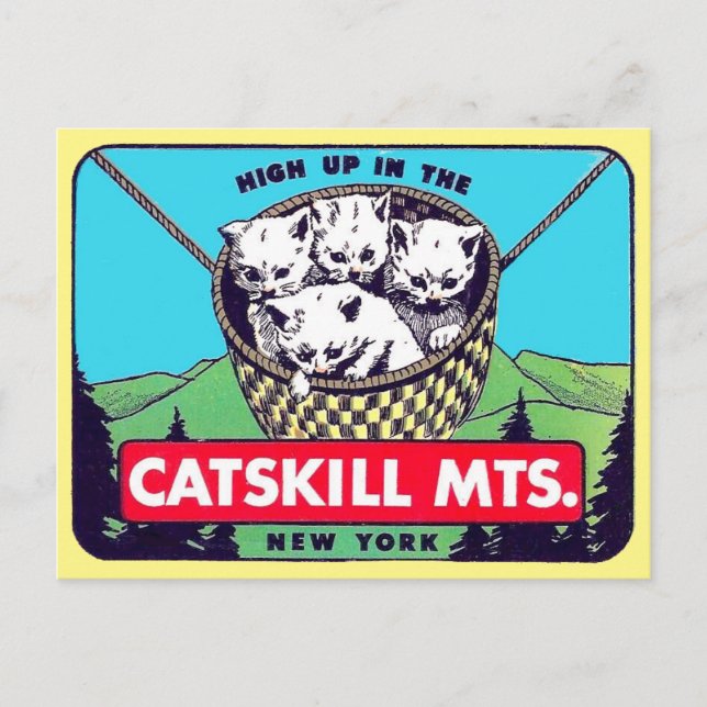 Katfärjebergen, New York-vykort Vykort (Framsida)