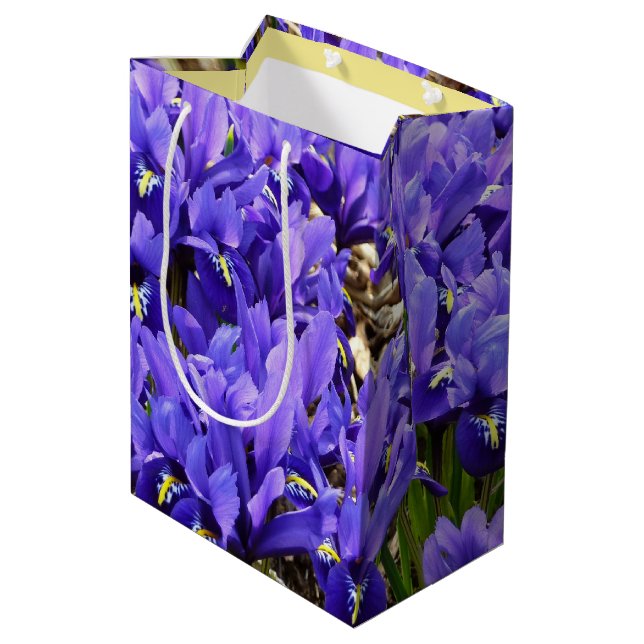 Katherine Hodgkin Irises Lila Vår Blommigt (Baksidan Vinklad)