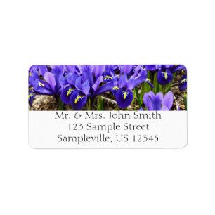 Katherine Hodgkin Irises Lila Vår Blommigt Adressetikett