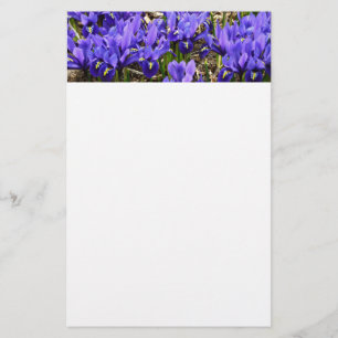Katherine Hodgkin Irises Lila Vår Blommigt Brevpapper
