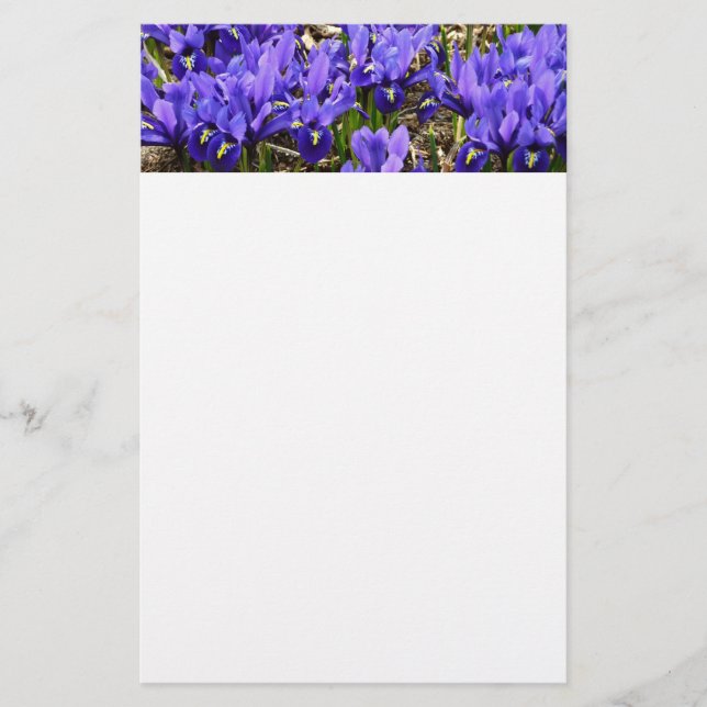 Katherine Hodgkin Irises Lila Vår Blommigt Brevpapper (Framsida)
