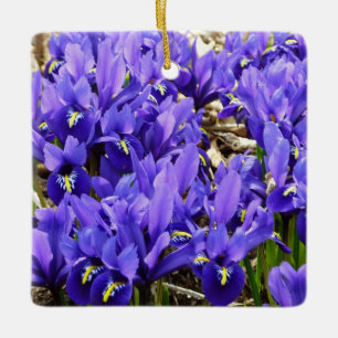Katherine Hodgkin Irises Lila Vår Blommigt Julgransprydnad Keramik