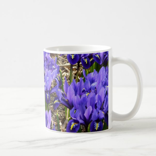 Katherine Hodgkin Irises Lila Vår Blommigt Kaffemugg (Höger)