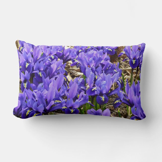 Katherine Hodgkin Irises Lila Vår Blommigt Lumbarkudde (Framsida)