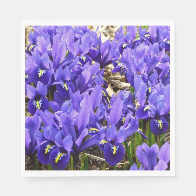 Katherine Hodgkin Irises Lila Vår Blommigt Pappersservett (Framsidan)