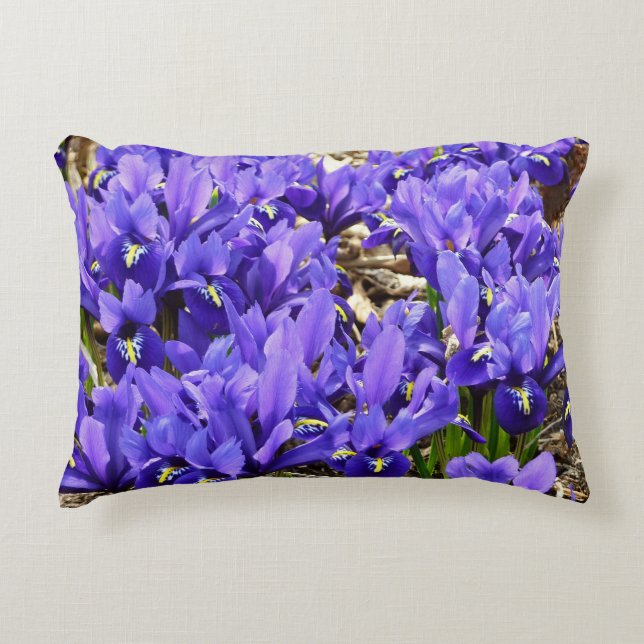 Katherine Hodgkin Irises Lila Vår Blommigt Prydnadskudde (Framsidan)