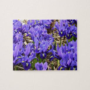 Katherine Hodgkin Irises Lila Vår Blommigt Pussel