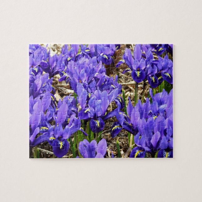 Katherine Hodgkin Irises Lila Vår Blommigt Pussel (Horisontell)
