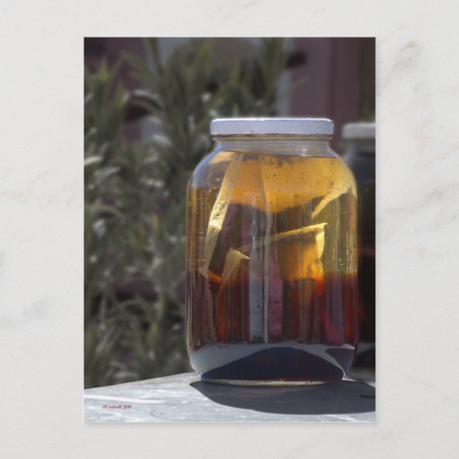 Kathy's Kosmic Kowgirl Tea Vykort (Framsida)