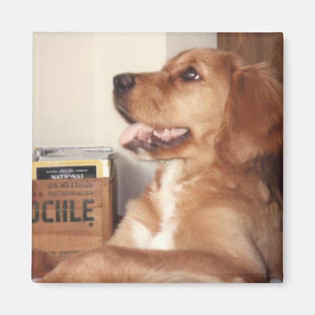 Katie Magnet (Framsidan)