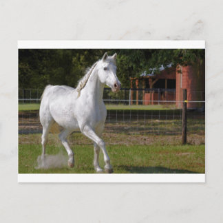 Katie Running Vykort