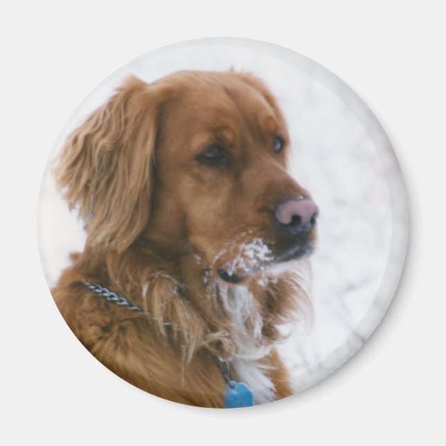 Katie Snowy Magnet (Framsidan)