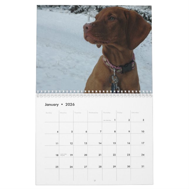 Katie Vizsla 2012 kalender (Jan 2026)