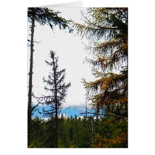 Katka Mountain Hälsningskort (Framsidan)