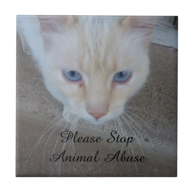 Katkeramisk platta kakelplatta (Framsidan)