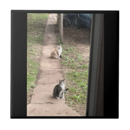 Katkeramisk platta kakelplatta