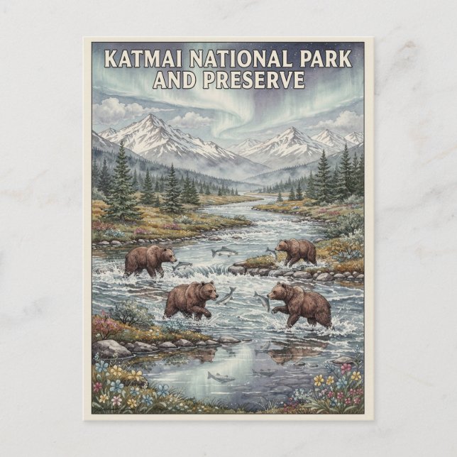 Katmai National Park Bruna Björnar Vykort (Framsida)