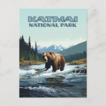 Katmai nationalpark Alaska Bear Brooks River