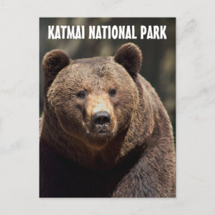 KATMAI NATIONALPARK GRÅBJÖRN BREVKORT VYKORT