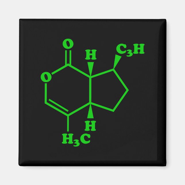 Katnip Nepetalactone Molecular Chemical Formula Magnet (Framsidan)