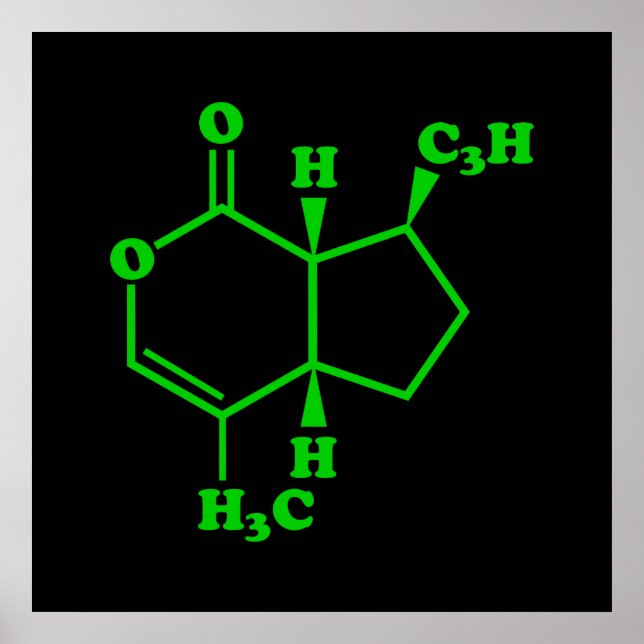 Katnip Nepetalactone Molecular Chemical Formula Poster (Framsidan)