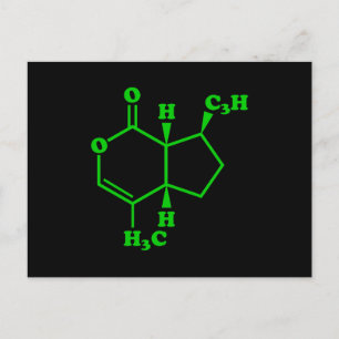 Katnip Nepetalactone Molecular Chemical Formula Vykort