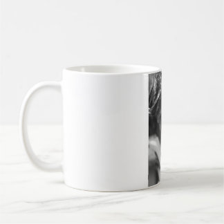 Katolsk mugg