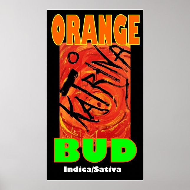 KATRINA ORANGE KNOPP POSTER (Framsidan)