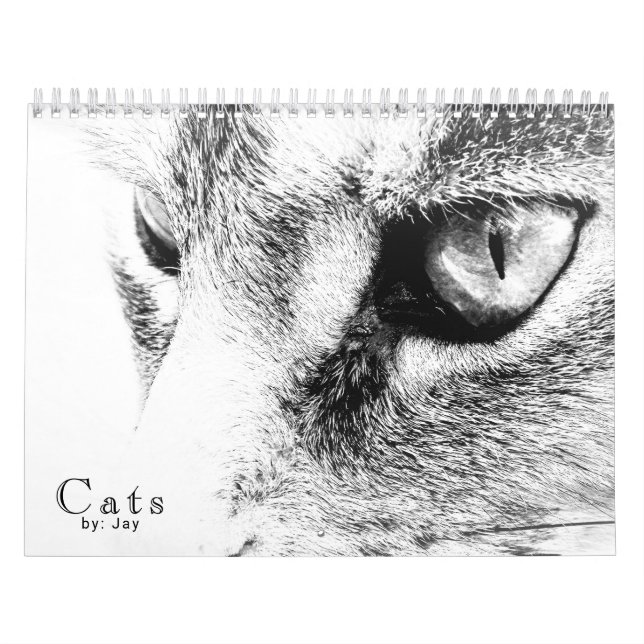 Kats-kalender Kalender (Omslag)