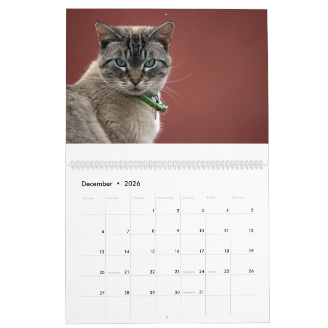 Kats-kalender Kalender (Dec 2026)