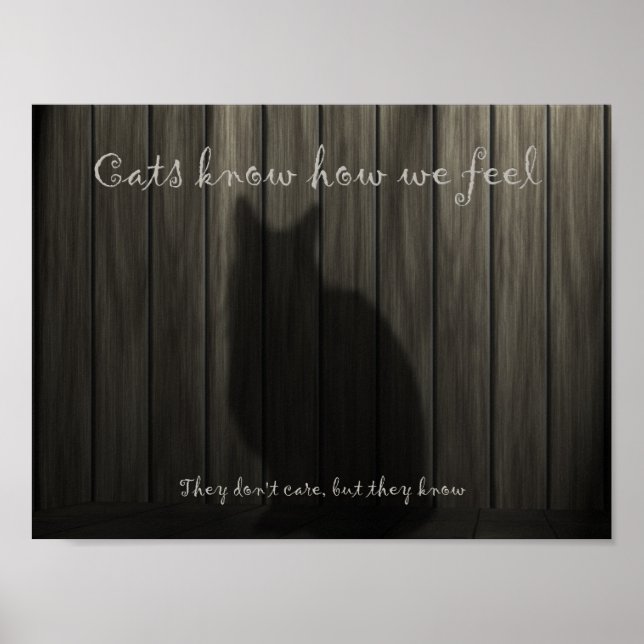 Kats vet hur vi känner oss poster (Framsidan)