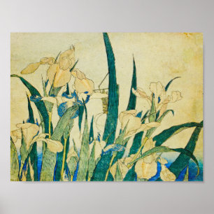 Katsushika Hokusai-Blossoming Irises and Grashopp Poster