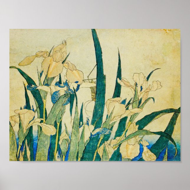 Katsushika Hokusai-Blossoming Irises and Grashopp Poster (Framsidan)