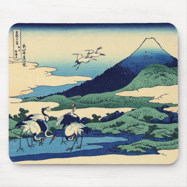 Katsushika Hokusai - Umegawa i Sagamiprovinsen Musmatta (Framsidan)