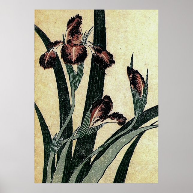 Katsushika Hokusai's Ukiyo-e Woodcut Print: Irises Poster (Framsidan)